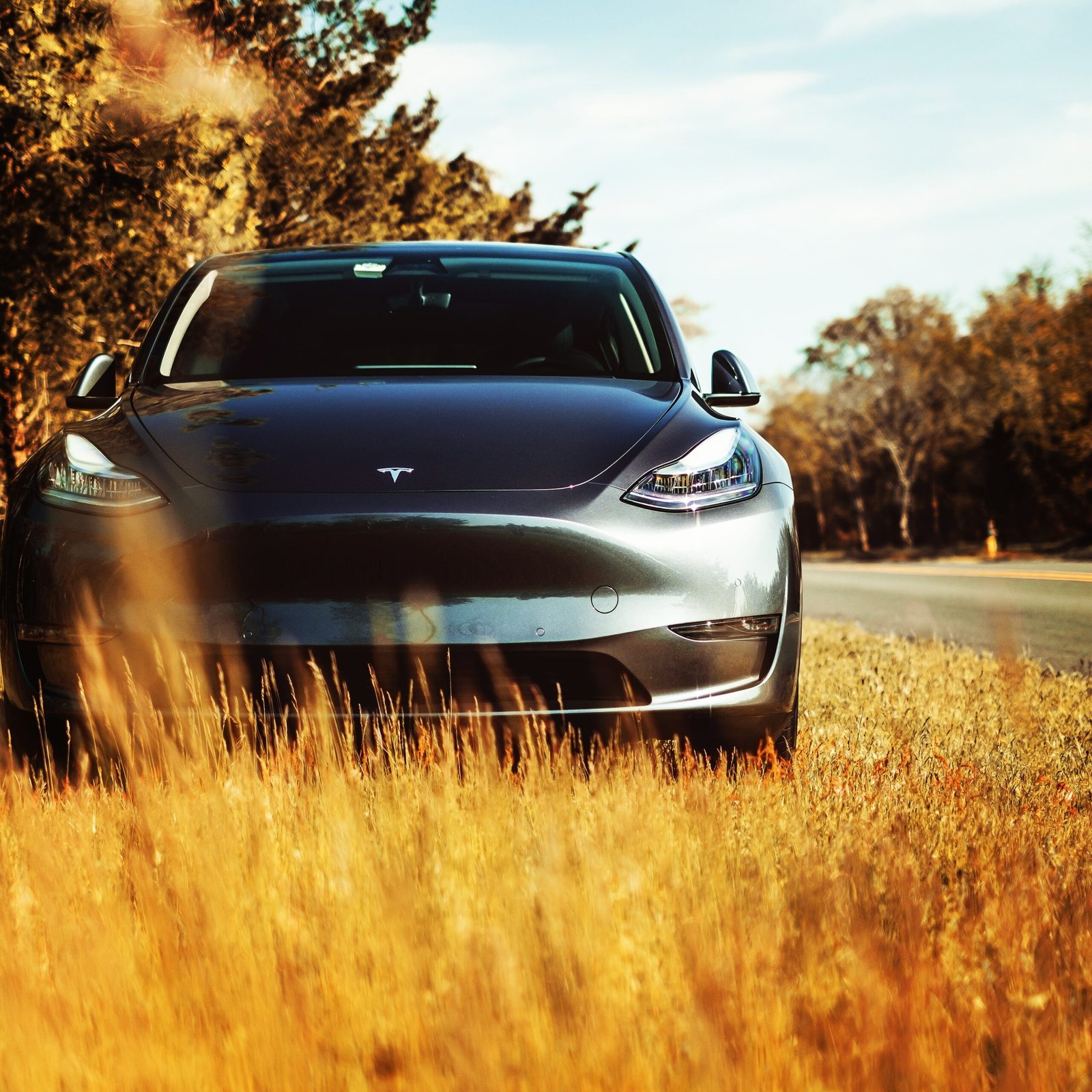 The Tesla Model Y is the perfect Tesla for your family